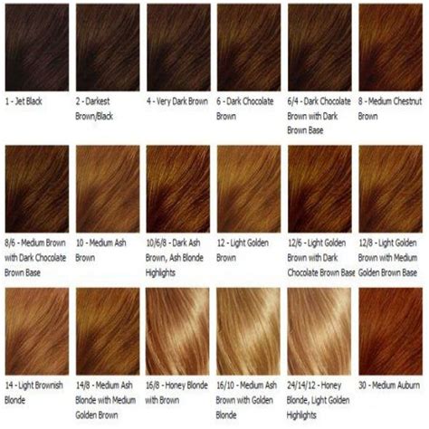 honey brown hair color chart.